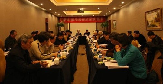 2013年度CETA演出场馆设备专业委员会常务委员会会议在京召开