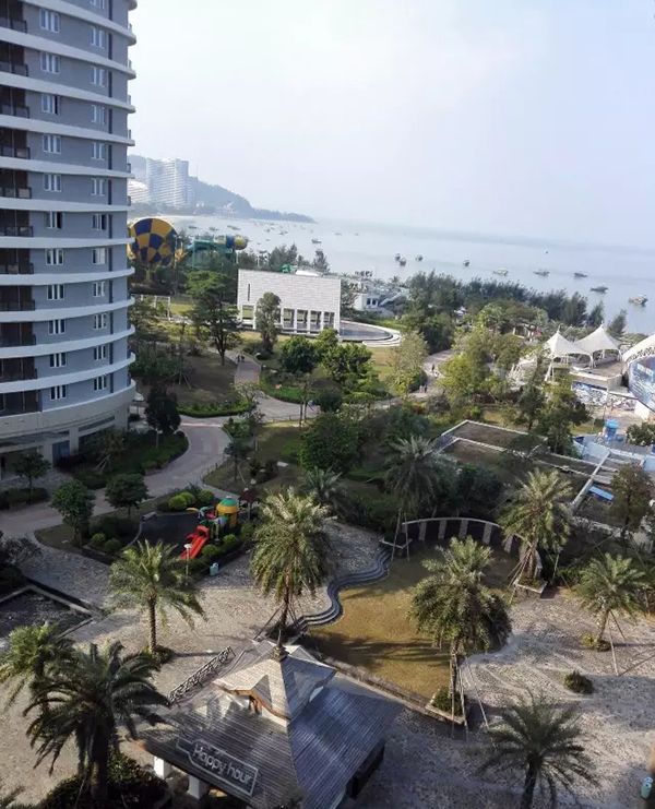 1480050603987801.jpg w.jpg