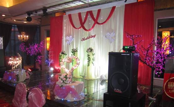 PAL专业音响设备助阵万乘大酒店举办婚宴活动